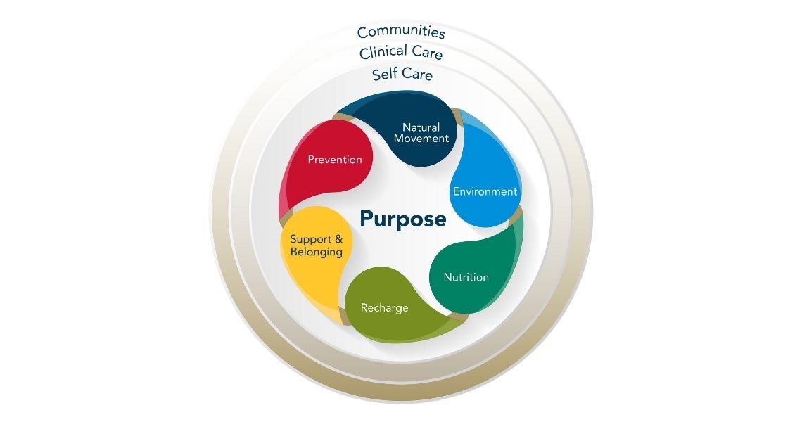 The Circle of Health—illustrates the big picture connections between your health and other aspects of your life. Circle of Health illustration