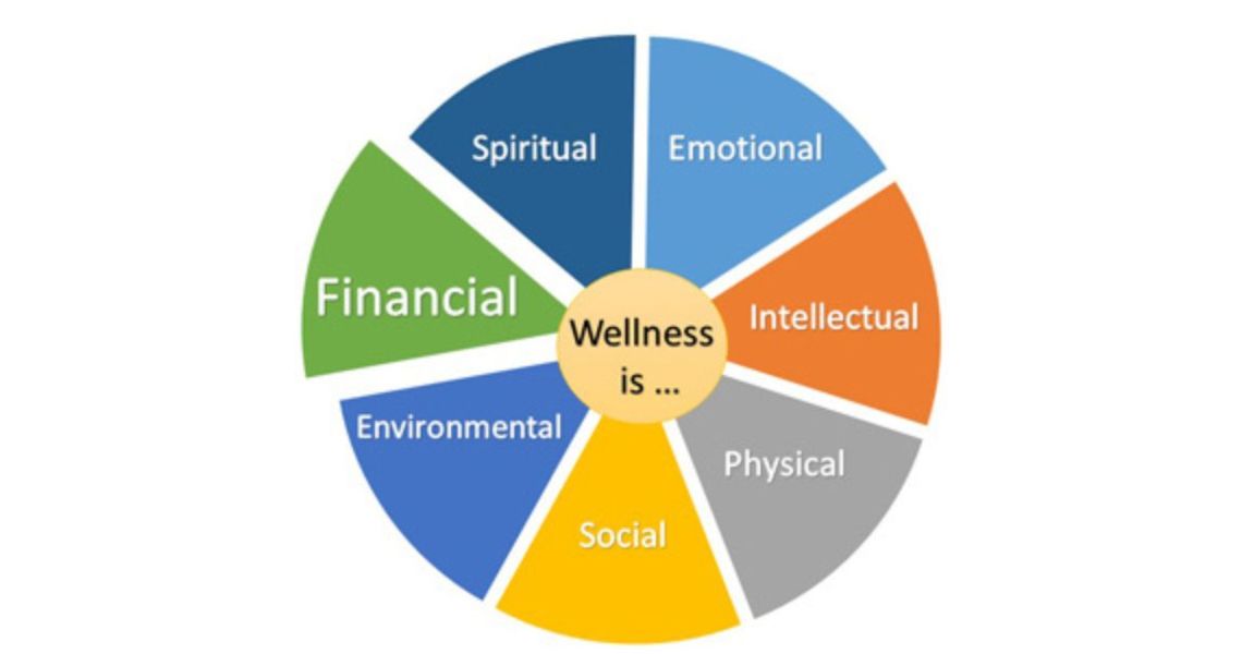 Well-Being Pie Chart